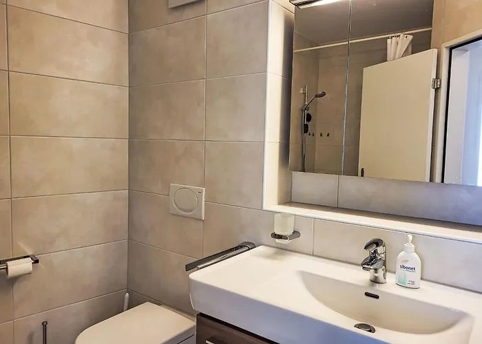 Splendid Maggiore View By Interhome Gambarogno