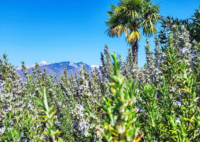 Splendid Maggiore View By Interhome Lejlighed *