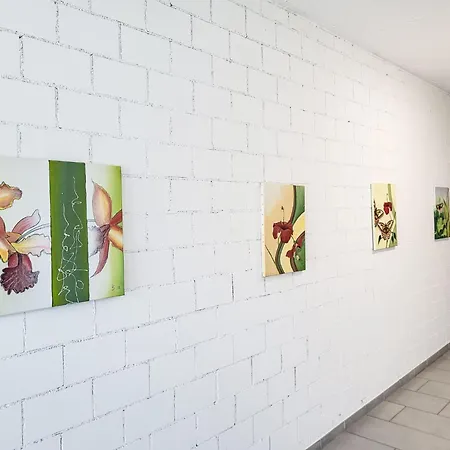 Splendid Maggiore View By Interhome Apartman Gambarogno