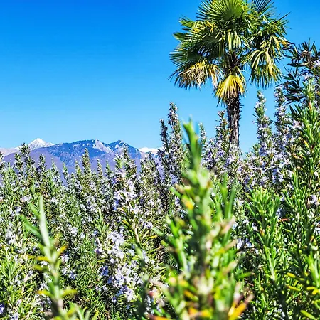 Splendid Maggiore View By Interhome Apartman *